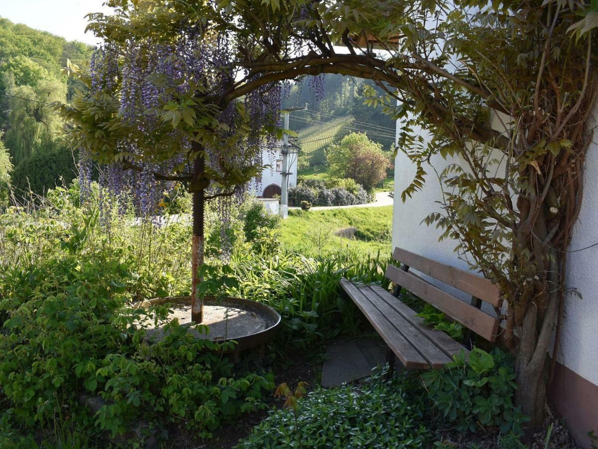 Ferienwohnung Wiedergruen 두르바흐 외부 사진